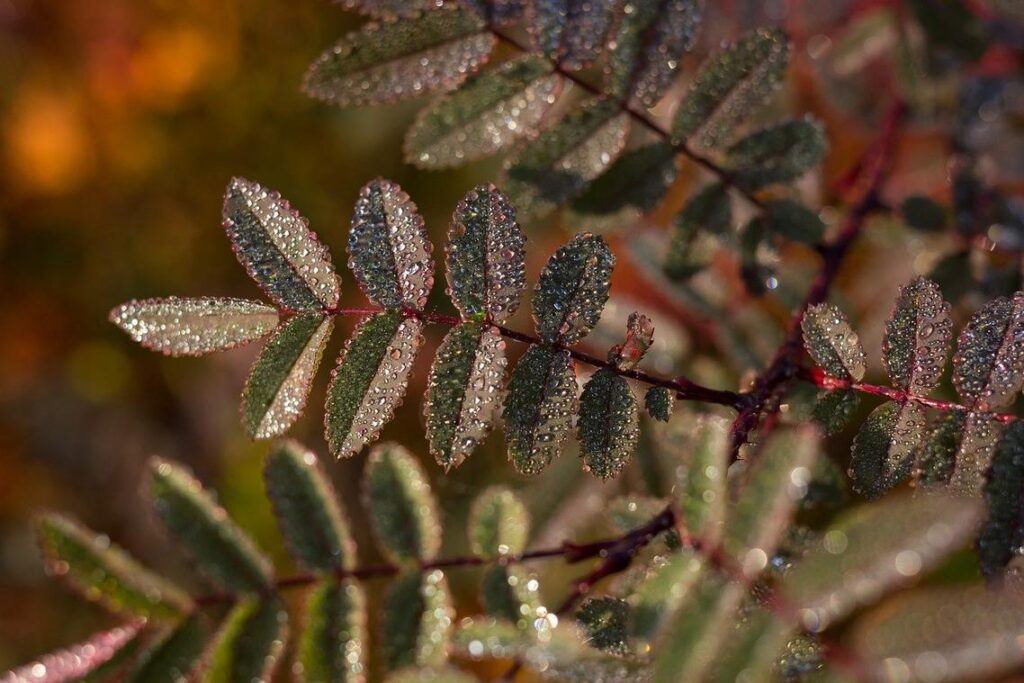 Foundational Consistency