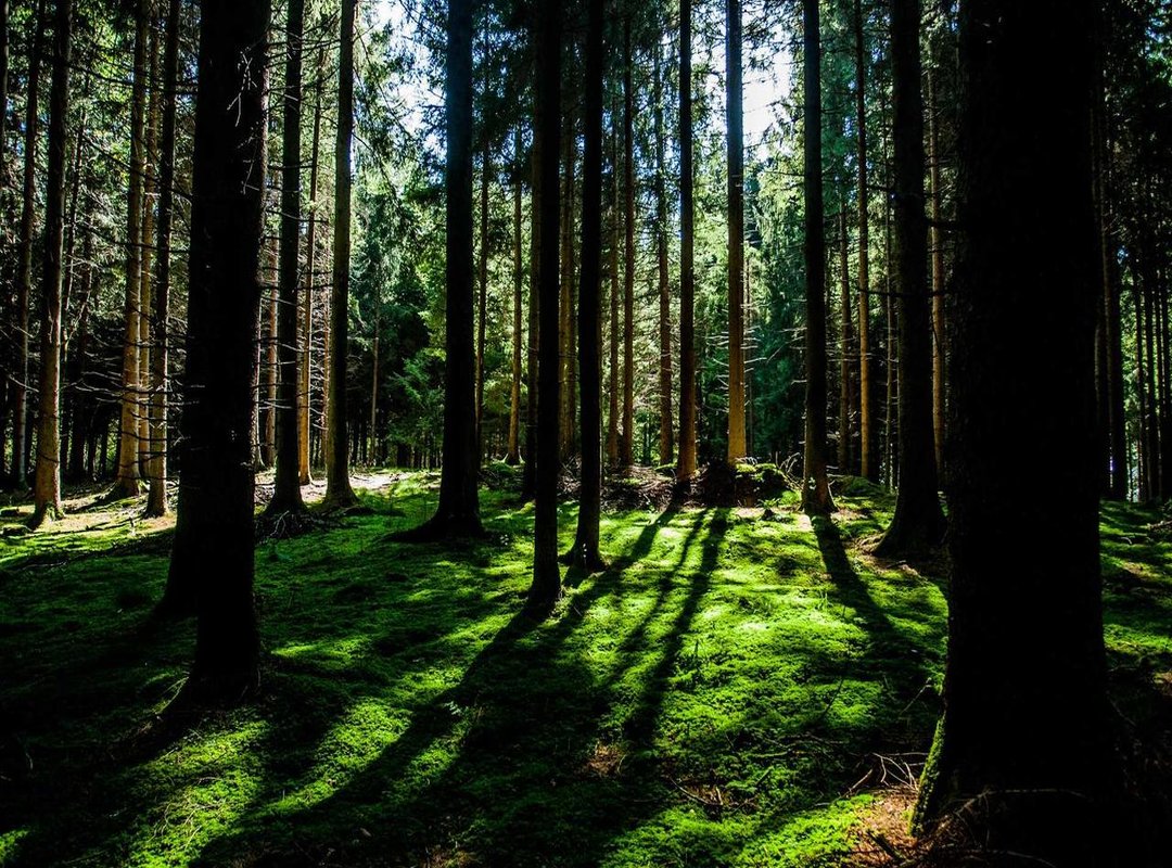 Building Digital Resilience: Core Lessons on Privacy and Consent