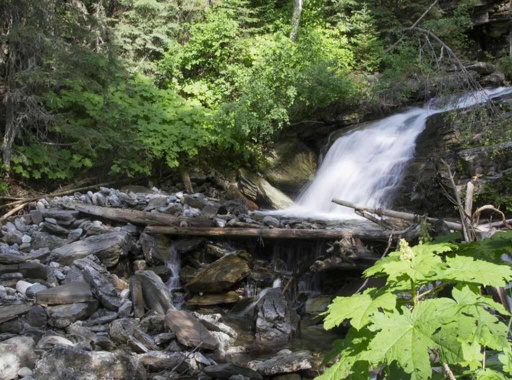 nature exploration blog